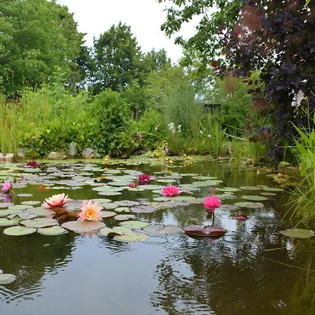 Kuca Za Odmor Zeleni San شاليه